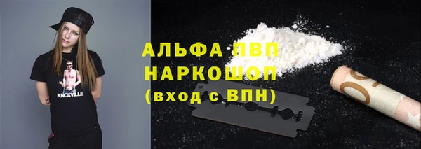 марки lsd Бородино