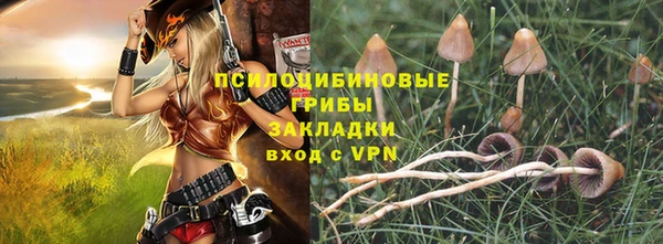 a pvp Богданович