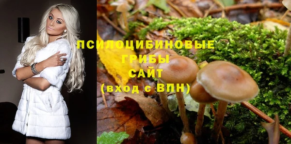 СК Богородицк
